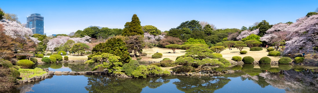 2024 Japan Cup Tour Guide